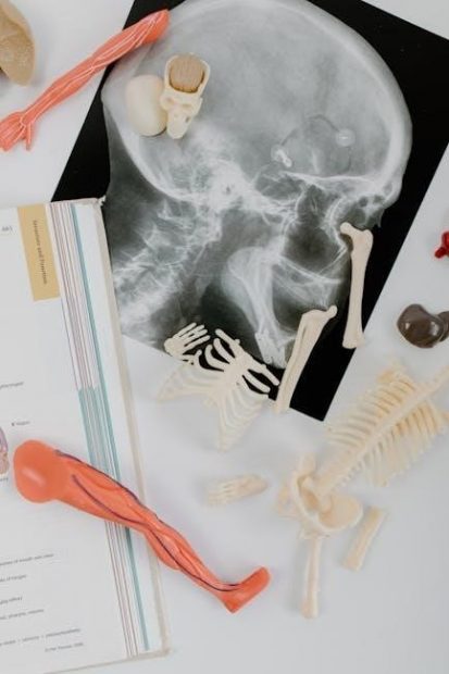 nursing mastery pdf